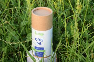 Технологія виробництва CBG олії: шлях від рослини до харчової добавки, блог Канаптека