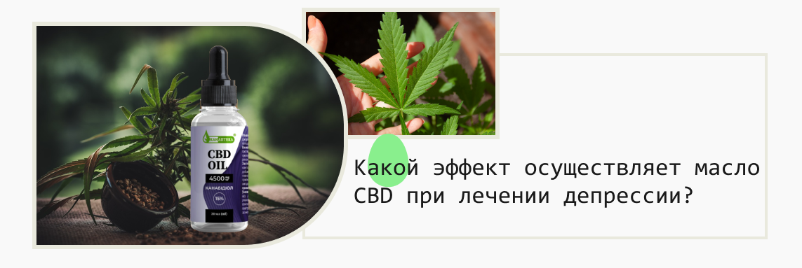 cbd масло