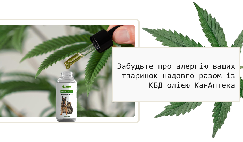 cbd для тварин